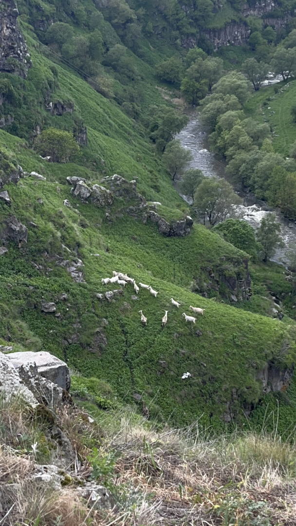 Гостевой дом Amrakits Canyon