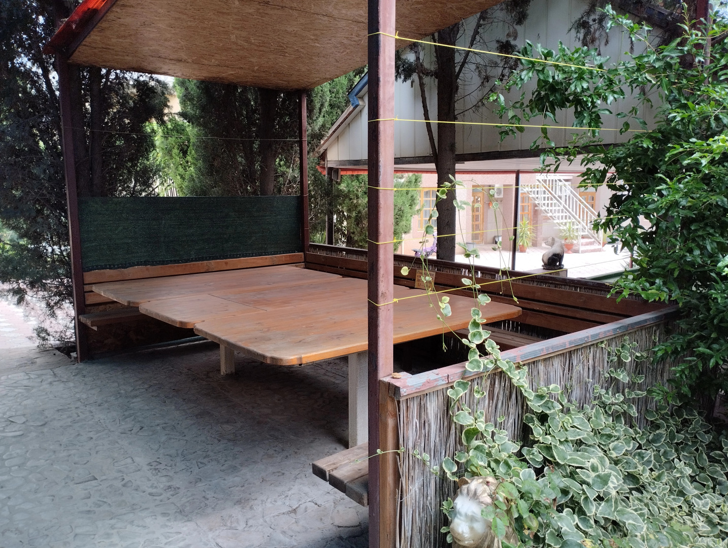 Ласточкино гнездо