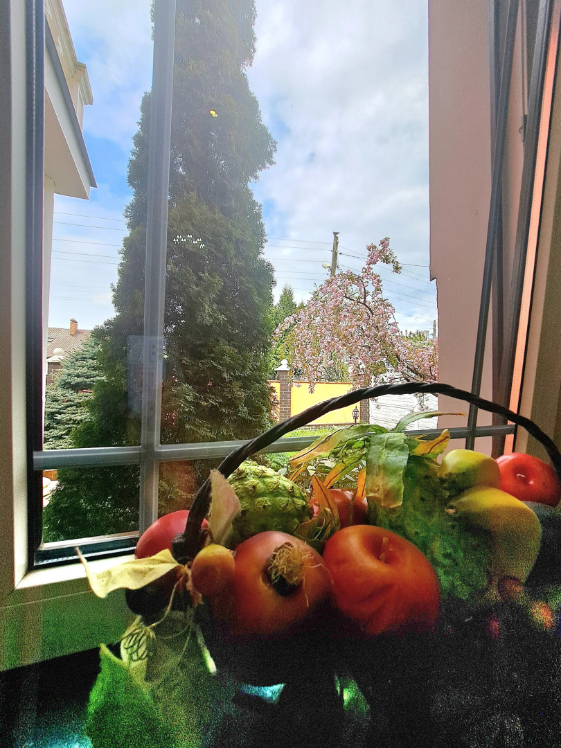 Вилла Магнолия