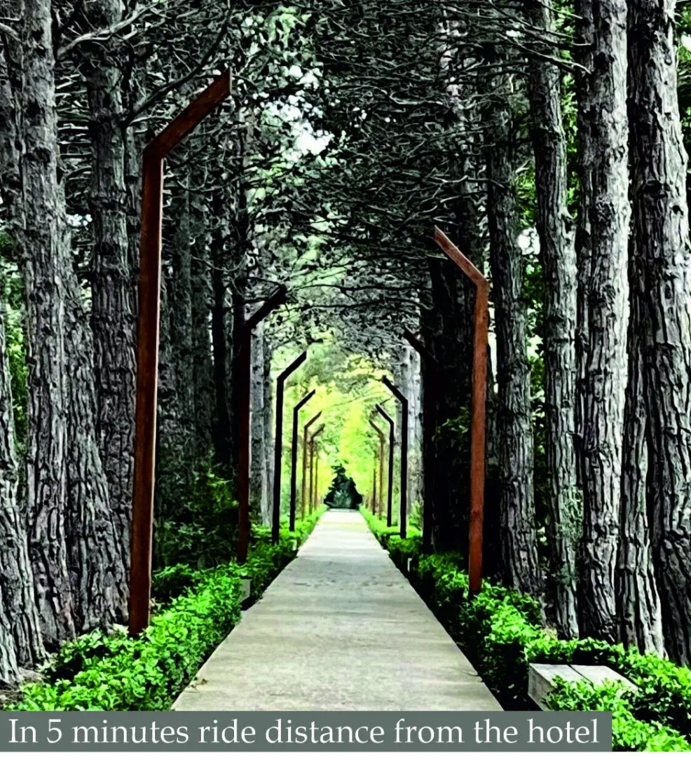 Отель Hillmond Hotel Baku