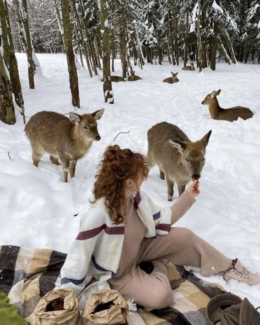 Гостевой дом Бэмби Лэнд