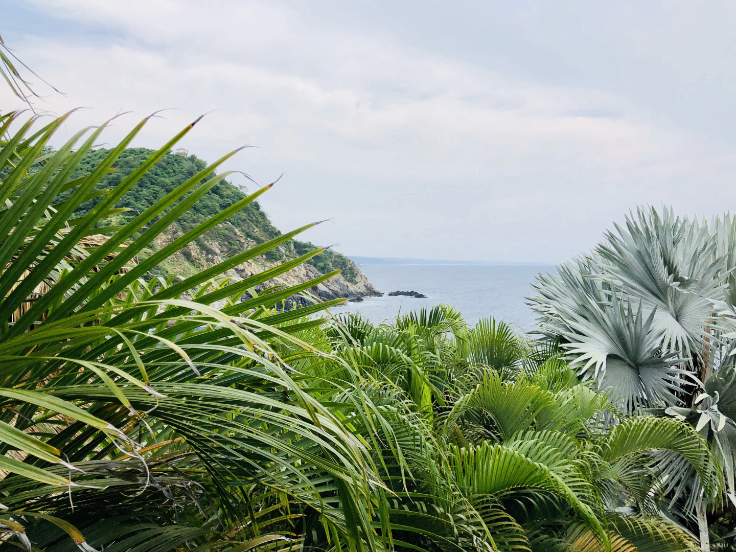 Отель Casa Bichu Culture Boutique by Rotamundos