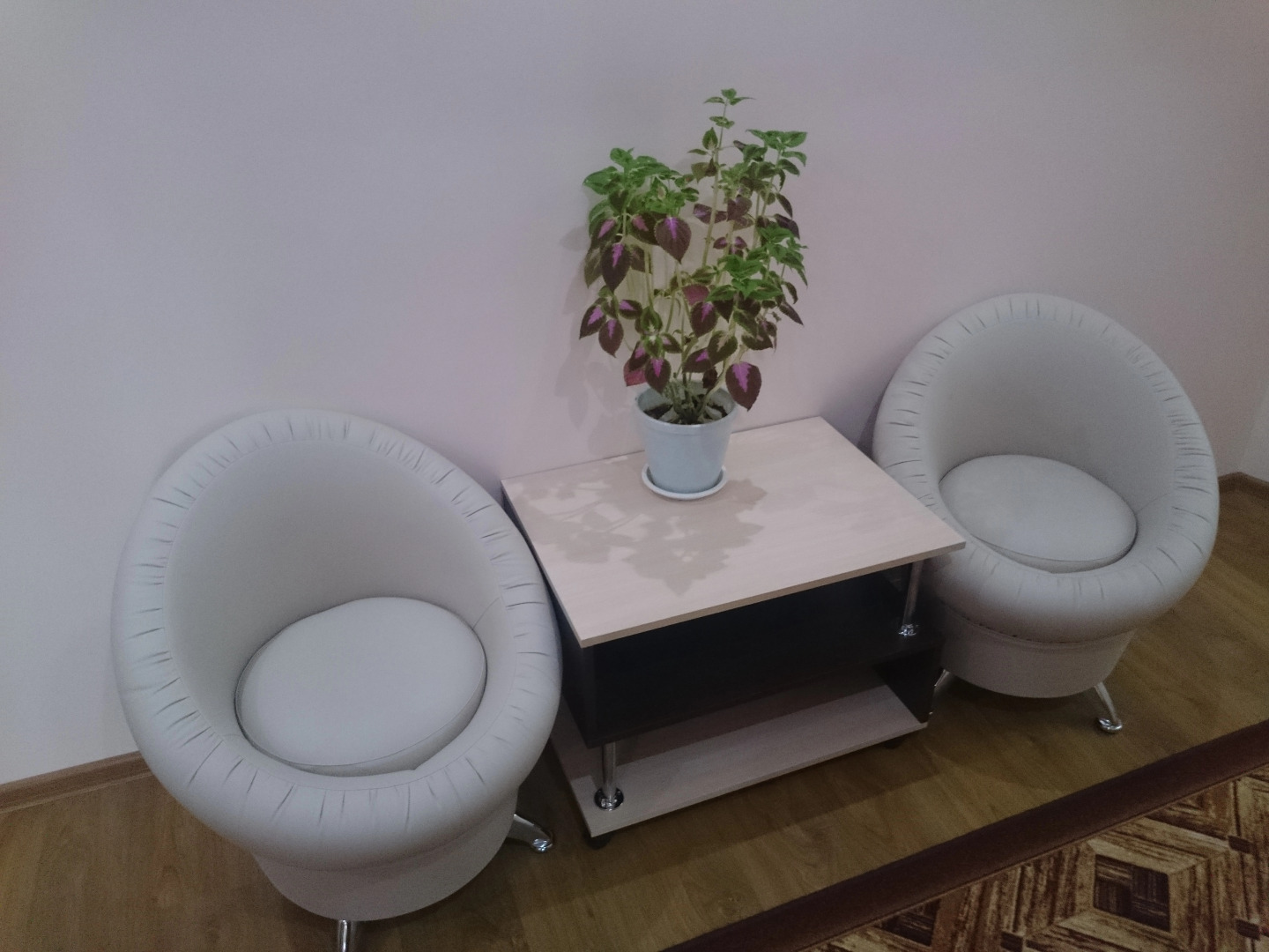 Дом на Гражданской