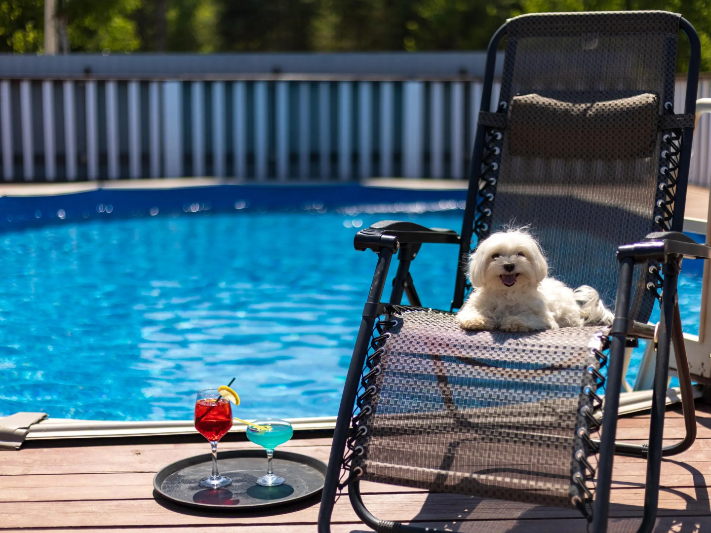 Отель Кумуткан