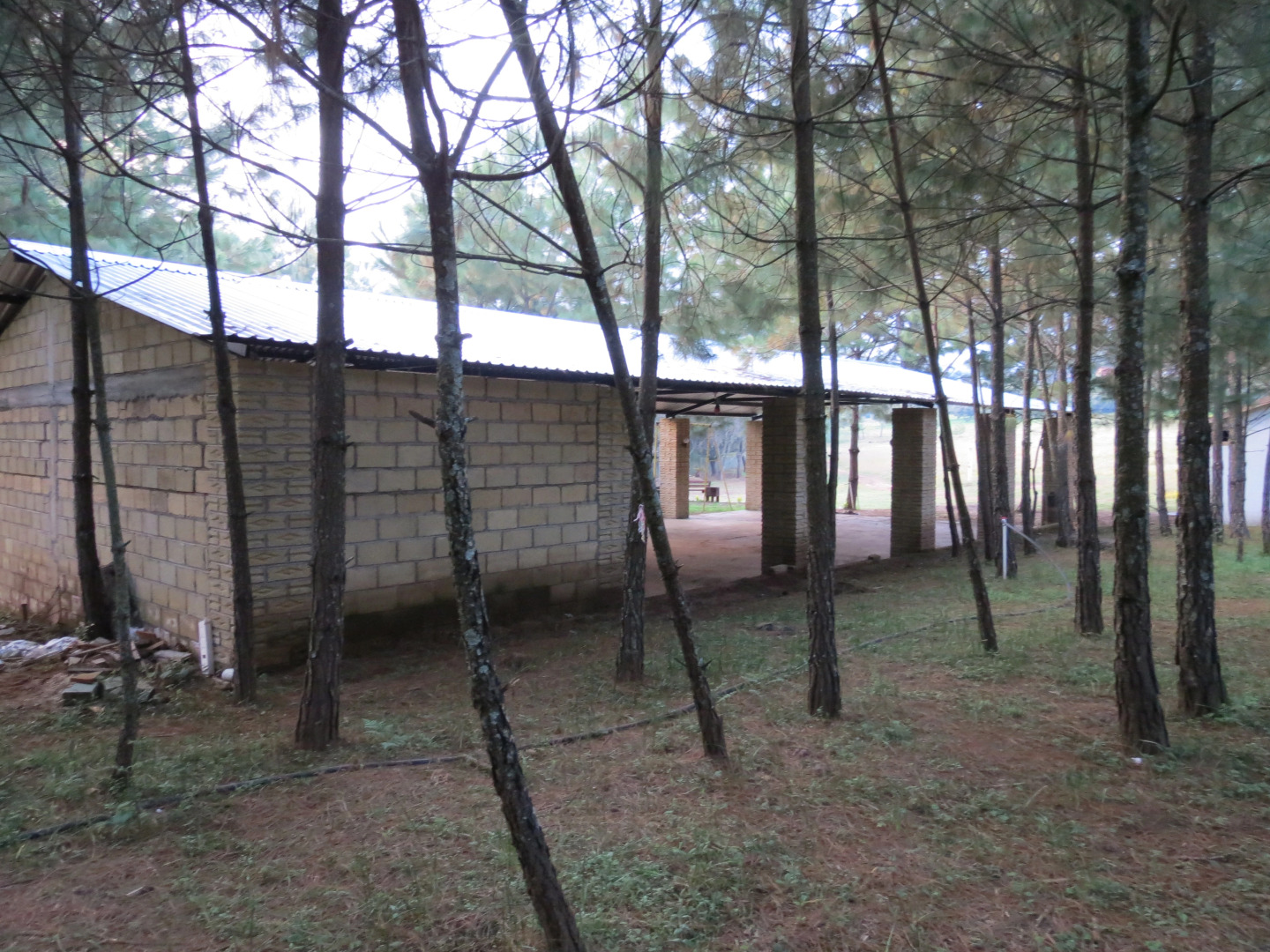 Отель Viña Real Cabañas Rotamundos