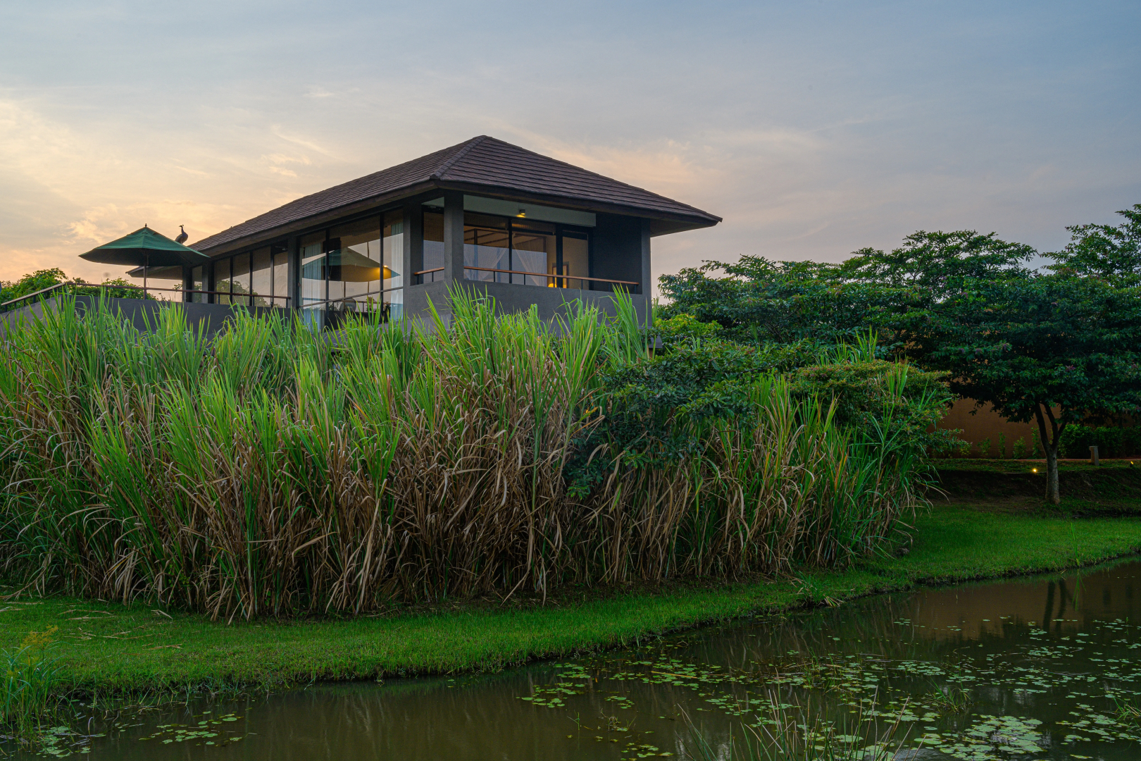 Отель Water Garden Sigiriya