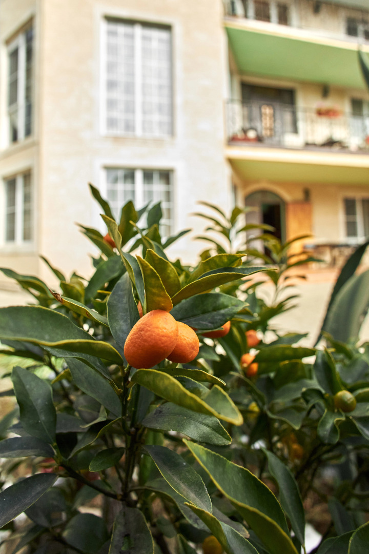 Гостевой Дом в Сириусе