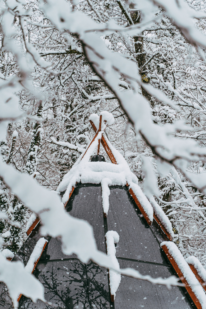 Отель Загородный отель Pine River Красная Поляна