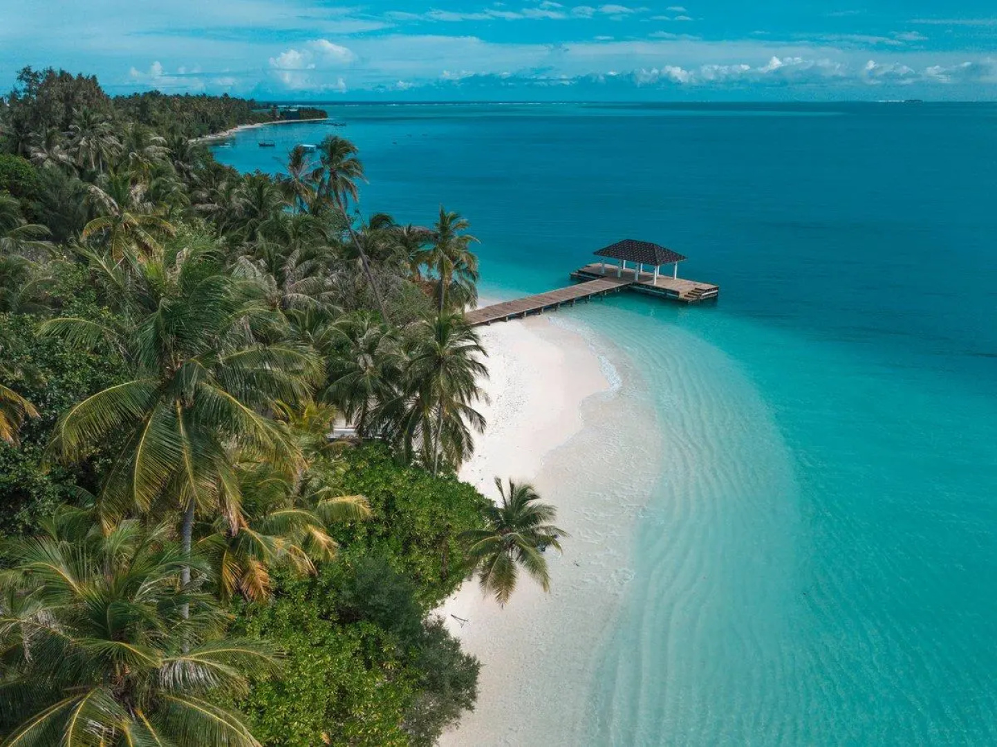 Курортный Отель Fiyavalhu Resort Maldives