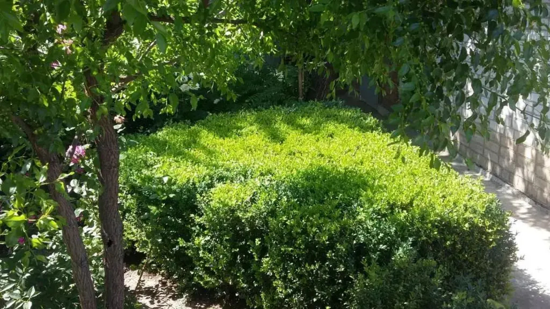 Гостевой дом Патио