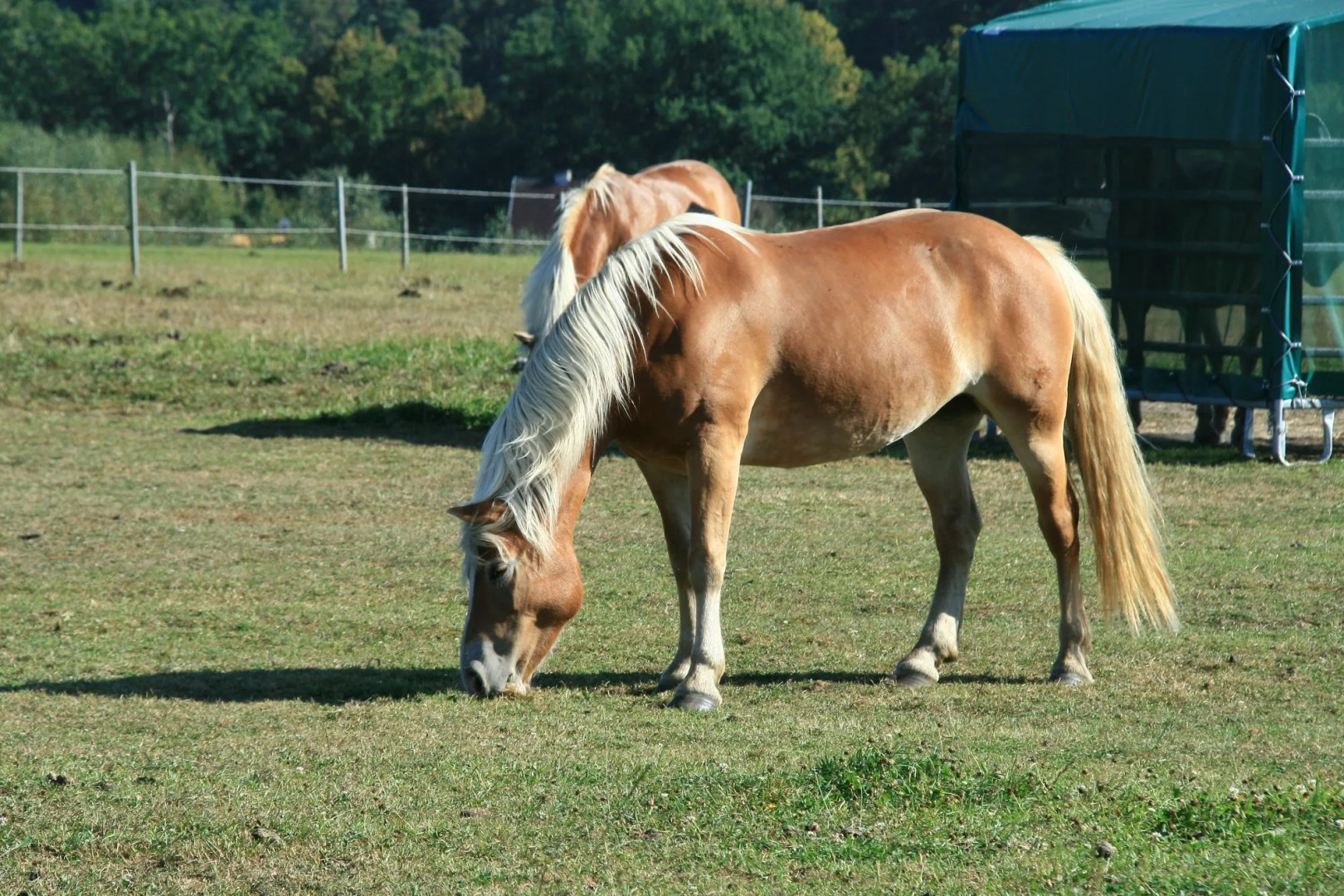 Отель Resort Stein