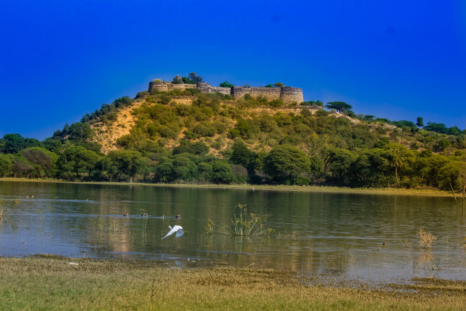 Отель Dev Shree Relais and Châteaux Luxury Deogarh