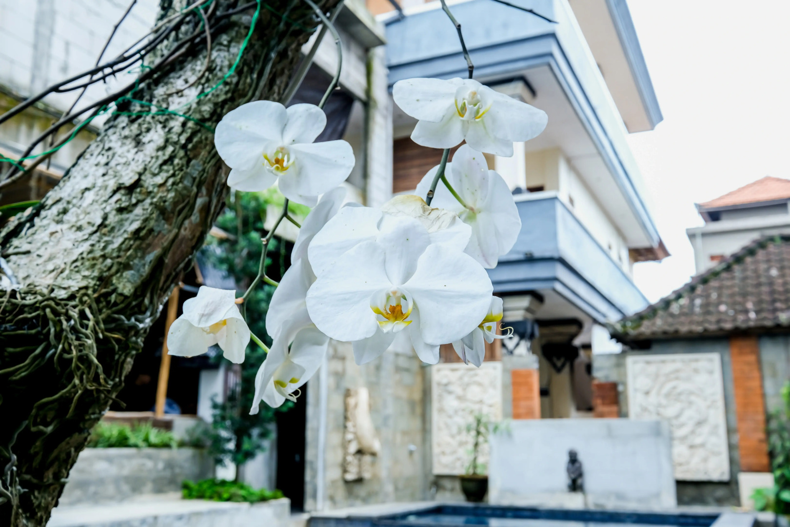 Отель Soka Suarsena by Wahm