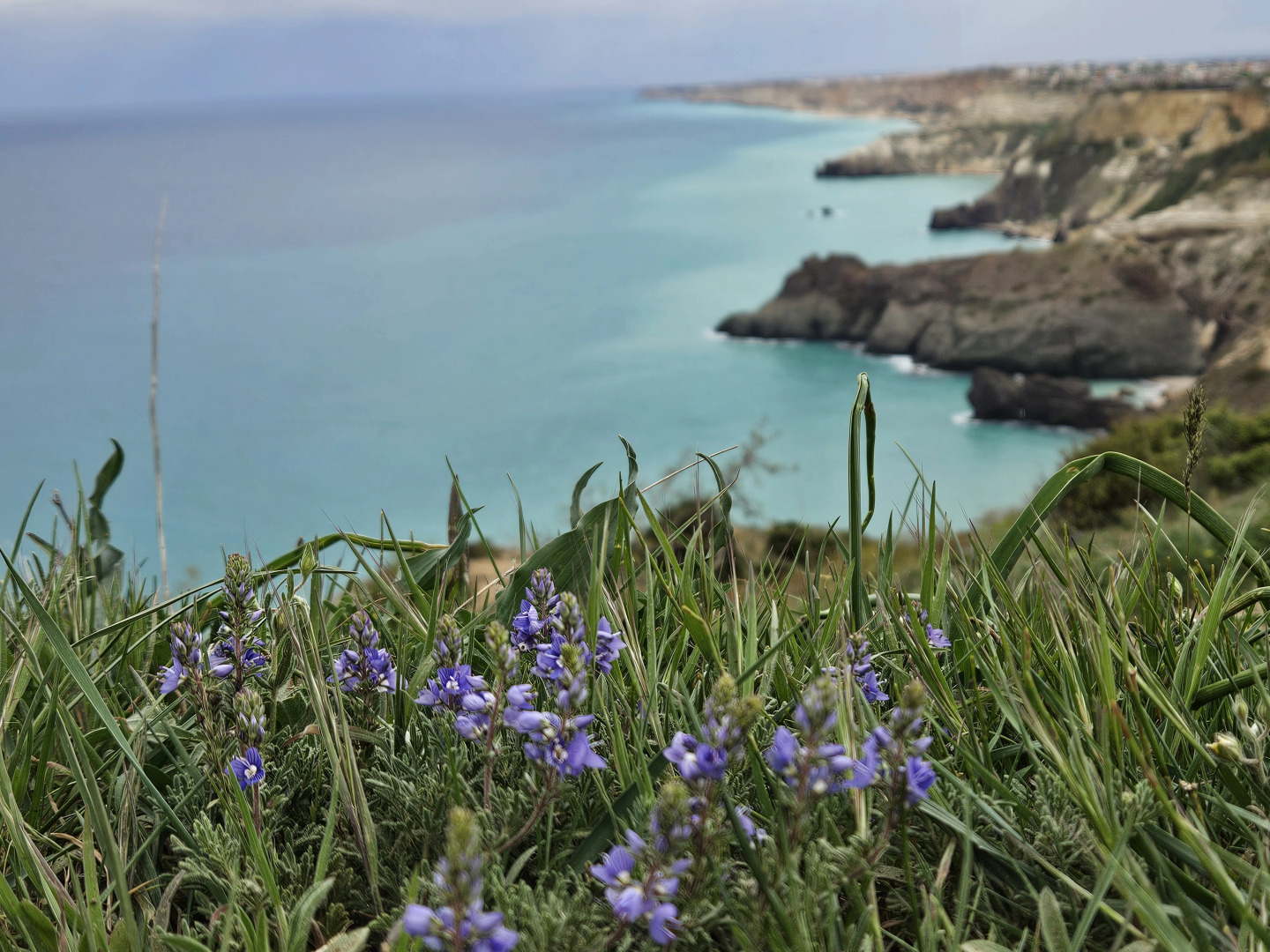 Апартаменты 2 на мысе Фиолент