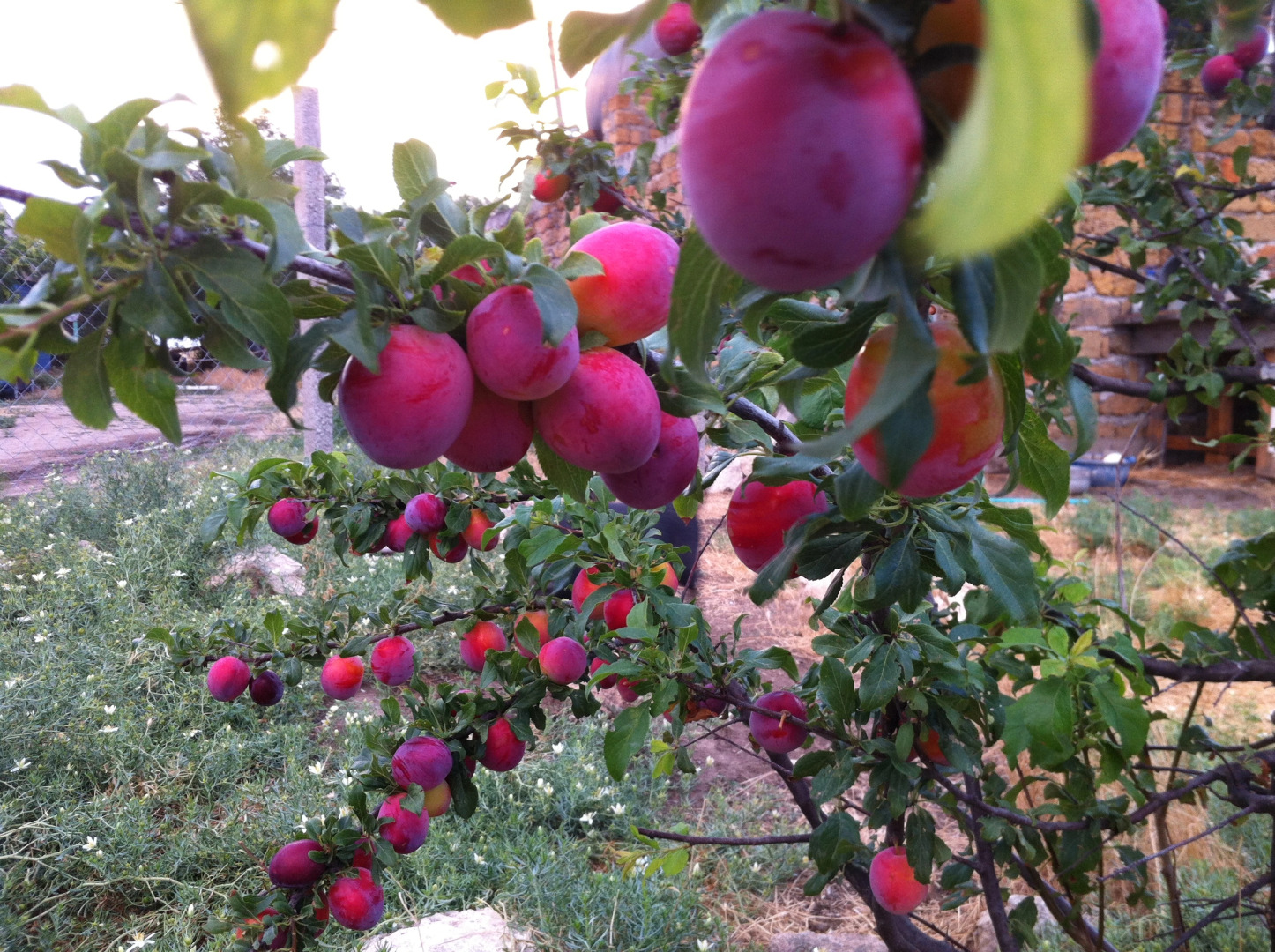 База Отдыха Эко Курорт Морское