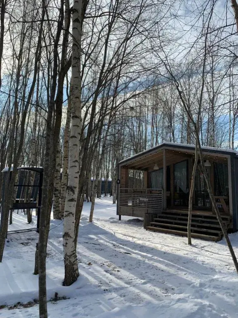 Частный дом с панорамными окнами в березовом лесу, терраса, баня, мангал