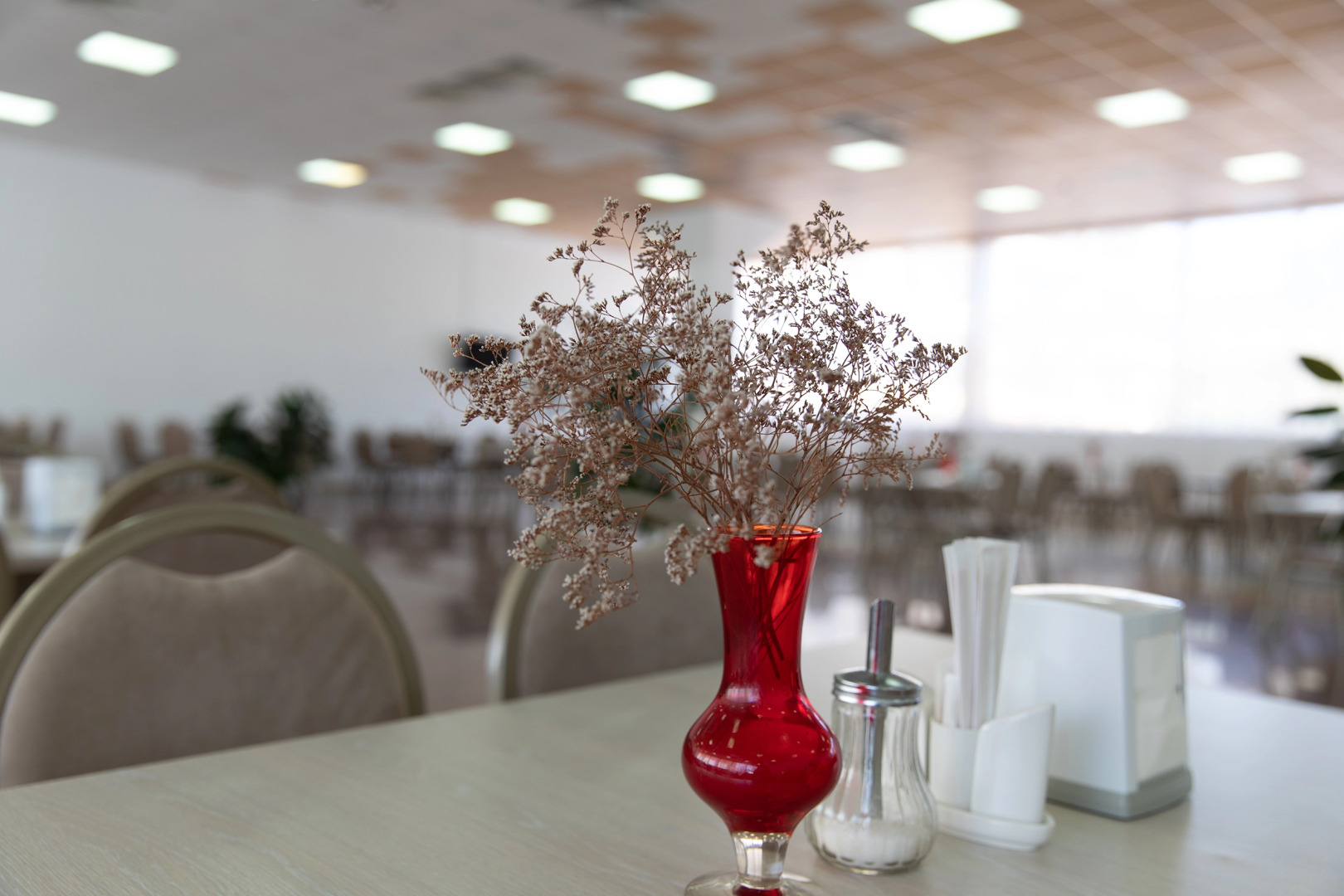 Отель Де ла Мапа