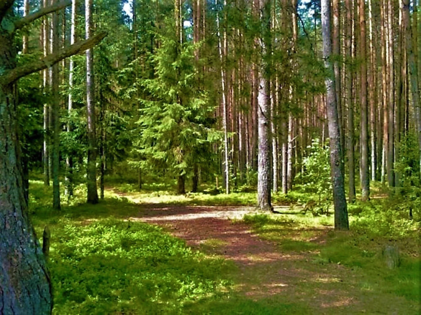 Частный Дом в Турбазе Чайка у Озера