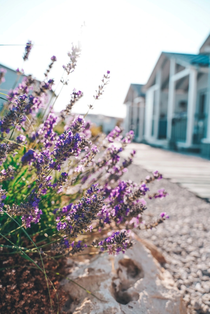 База отдыха Белый берег