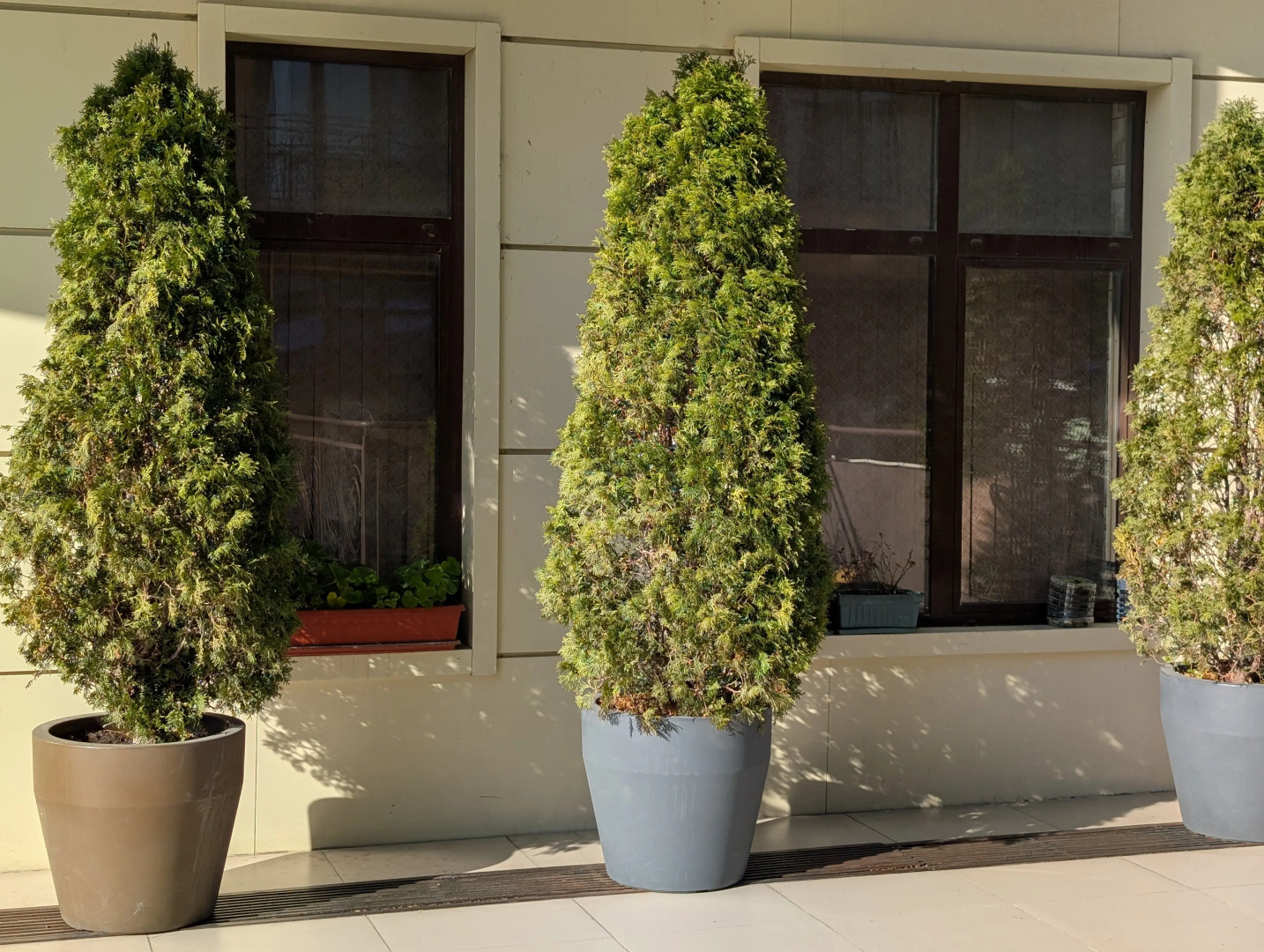 Квартира в Адлере на Первой Линии