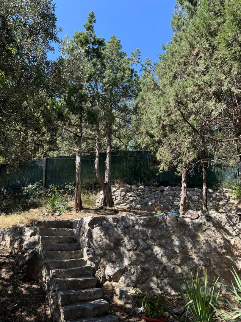 Гостевой Дом Волга в Симеизе