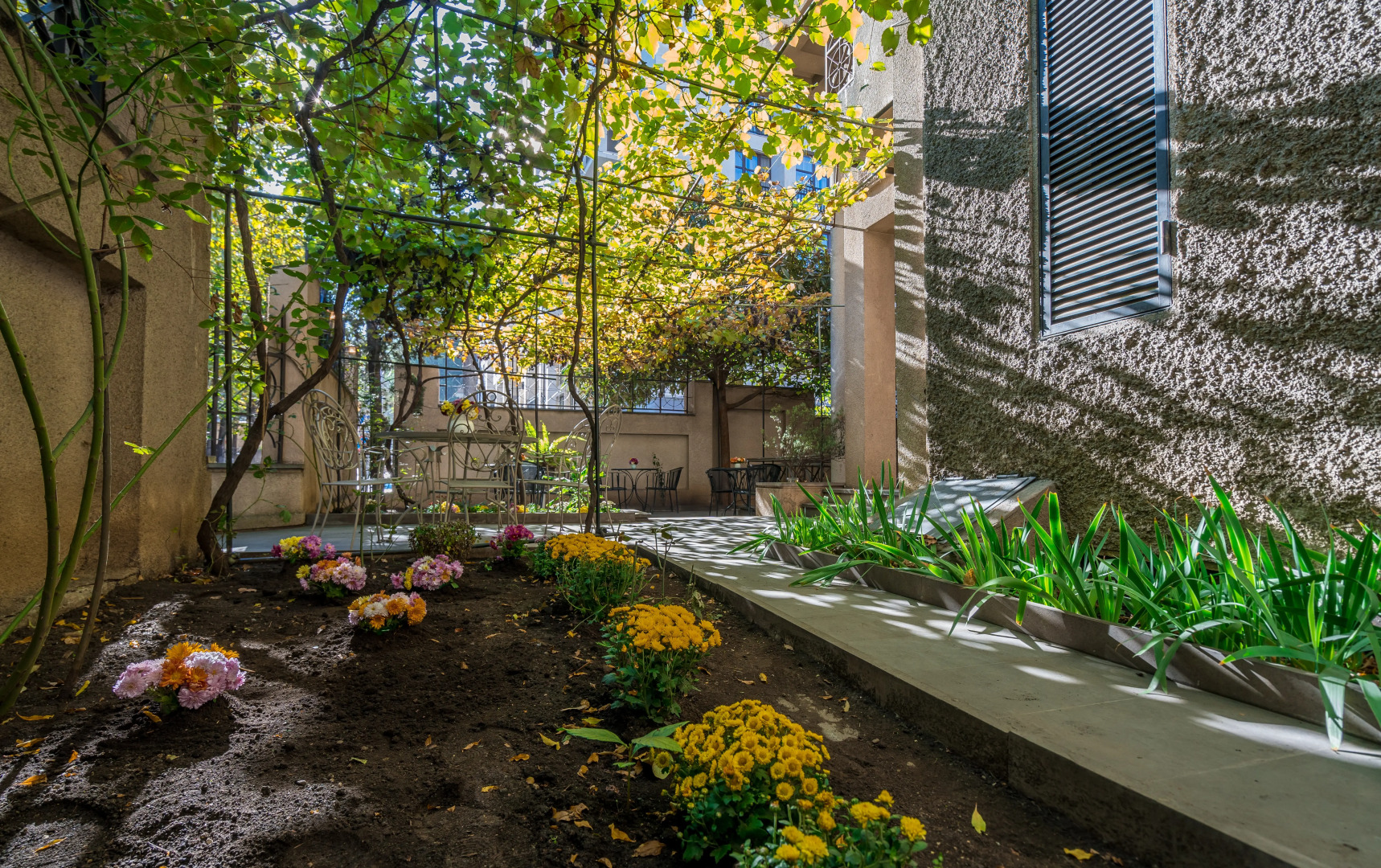 Отель Илиани