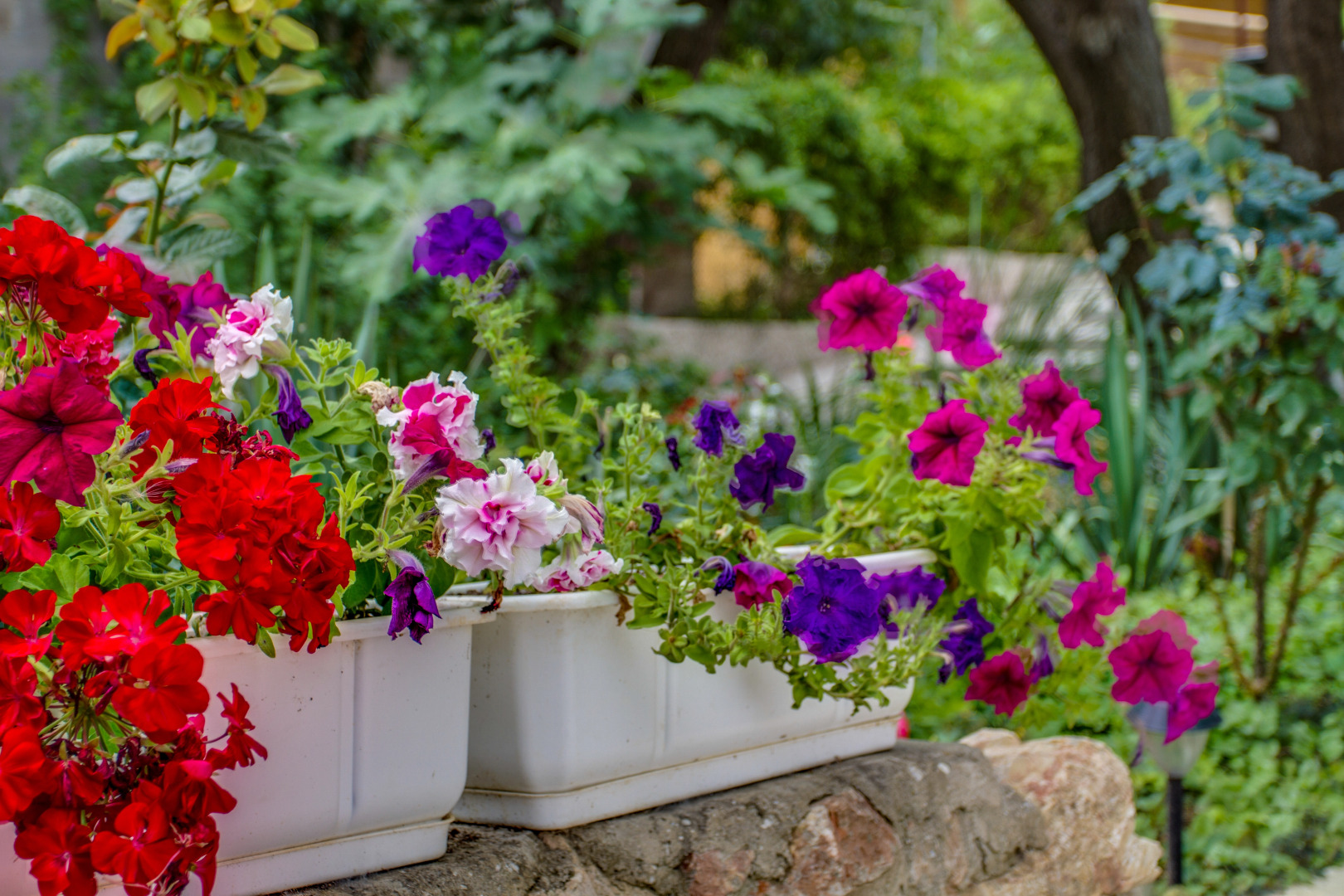 Гостевой Дом Рейд