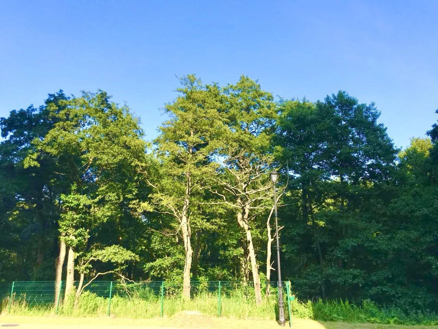 Апартаменты NinApart