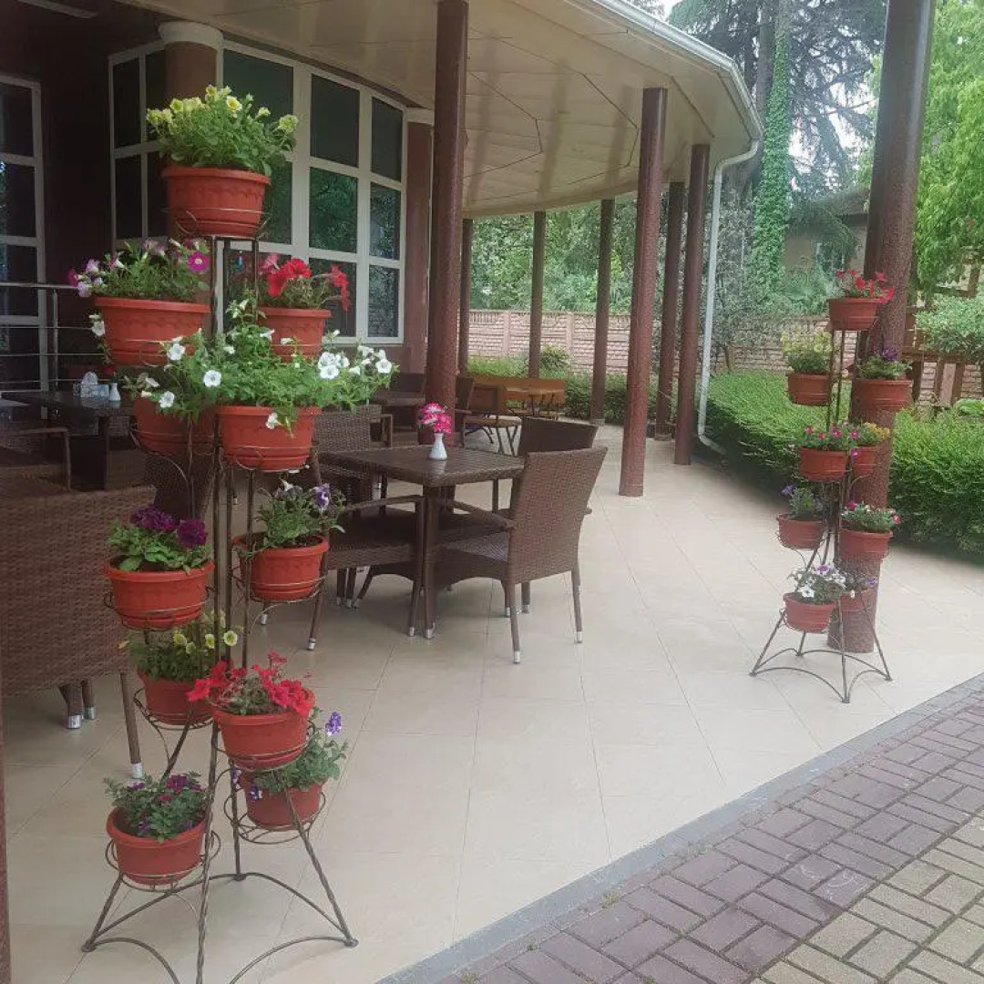 Отель Алая Роза