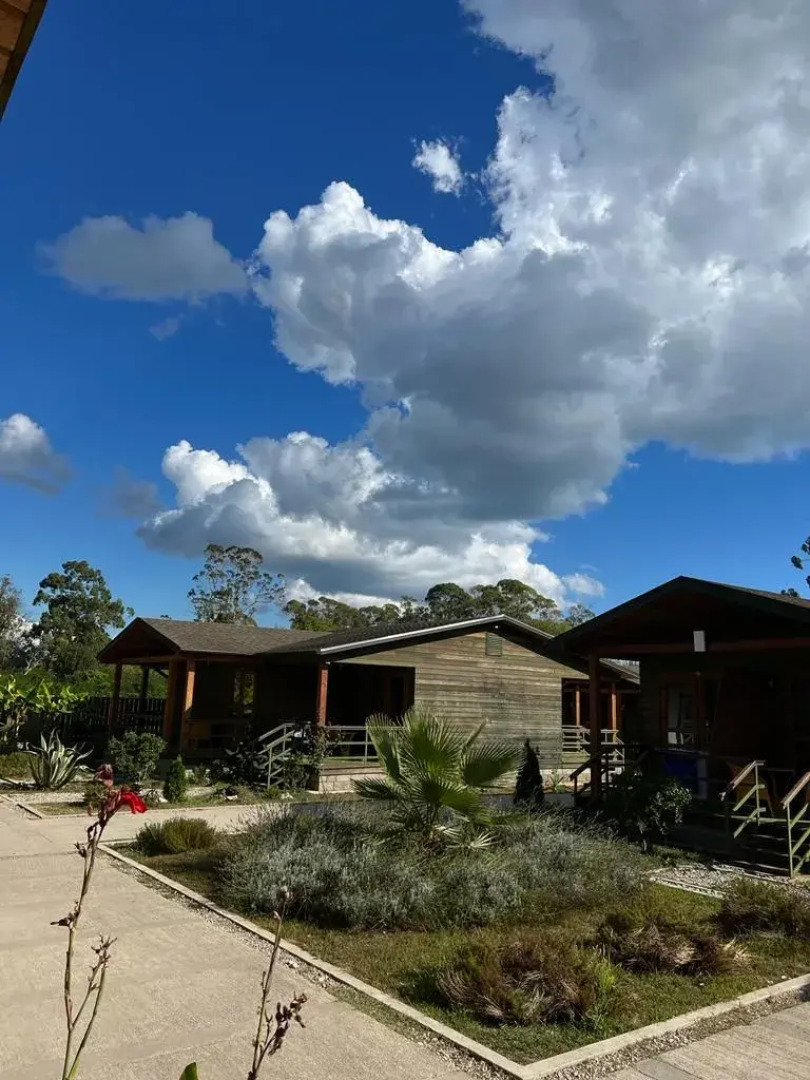 Отель Грин Терраса