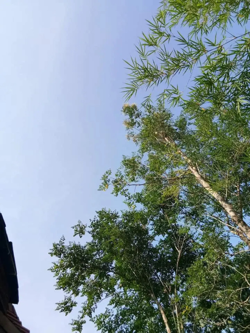 Гостевой дом Seven Senses