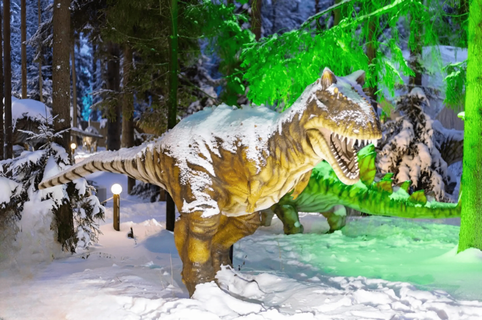 Апартаменты Иvolga с отдельным входом у курорта