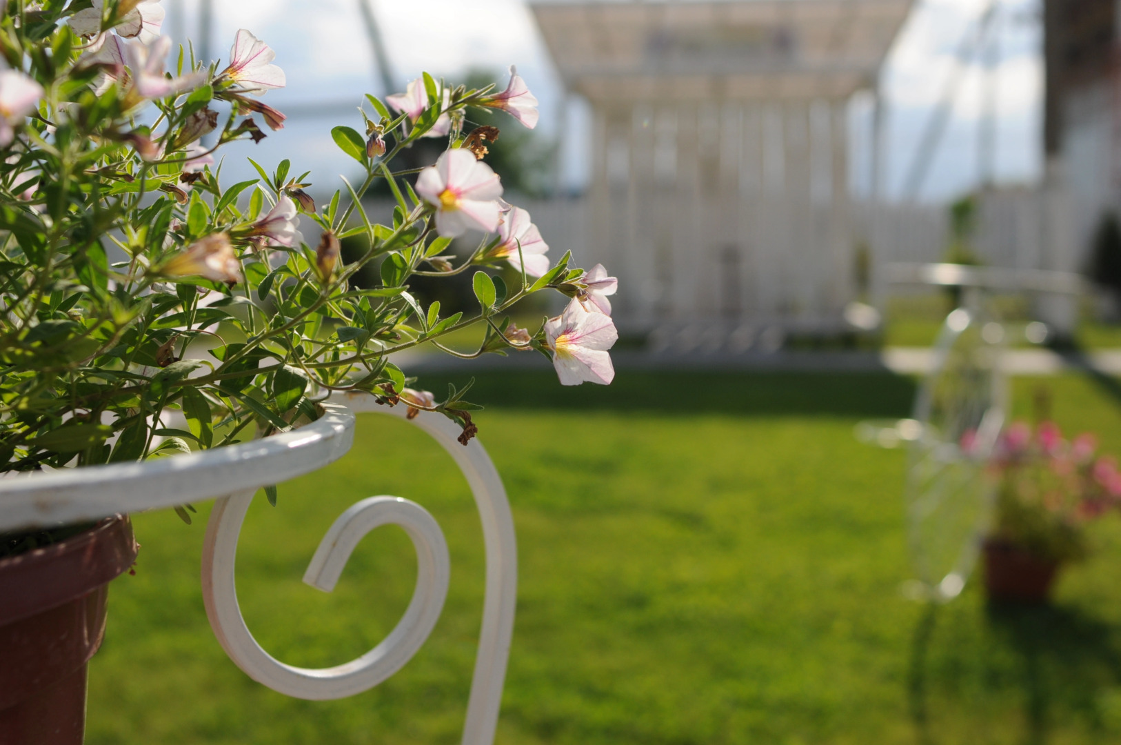 Мини-отель Подсолнухи