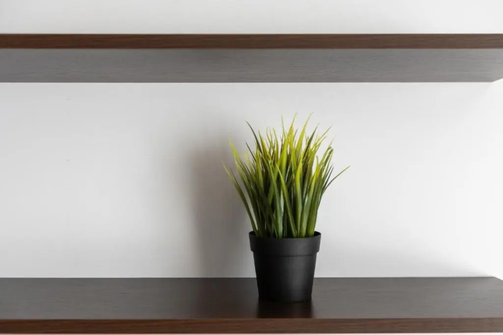 Квартира Толстой Пионерская Gold