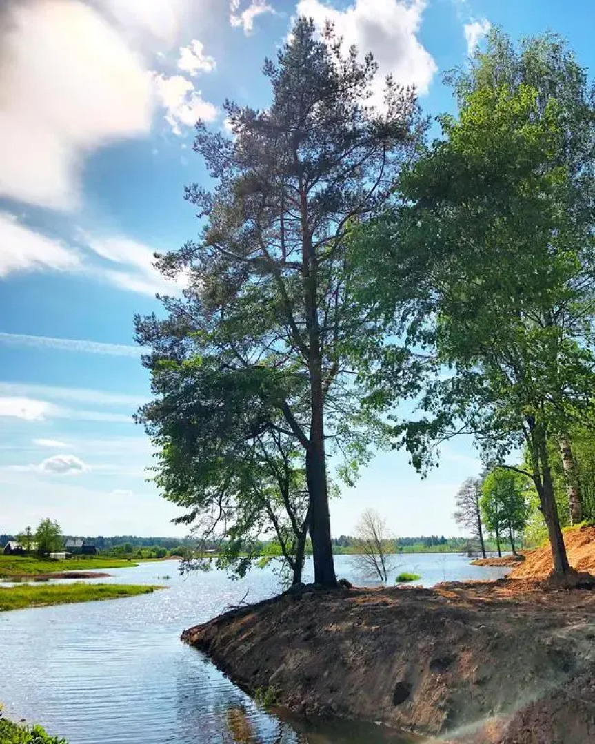 База отдыха Любогорье