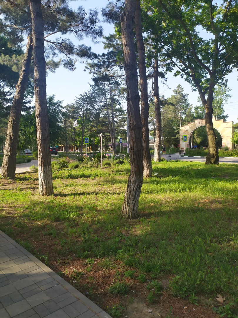 Квартира С видом на море