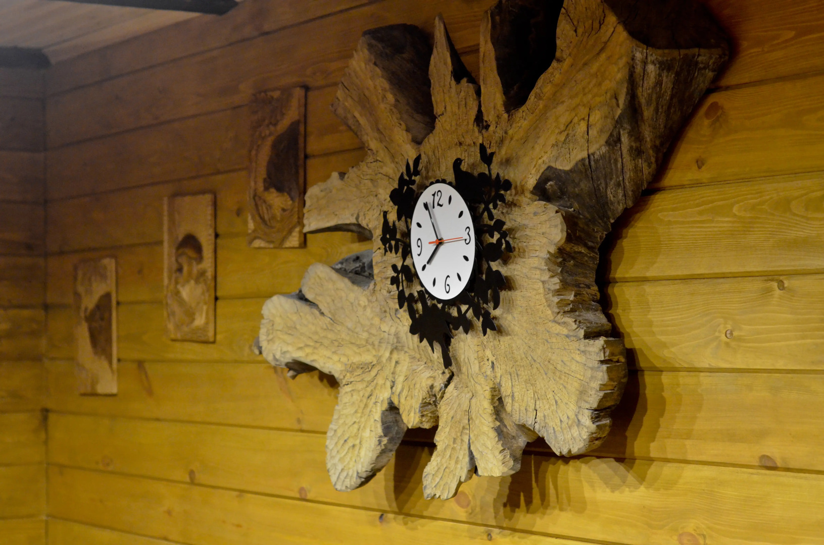 Гостевой дом Мечта в Беловежской Пуще