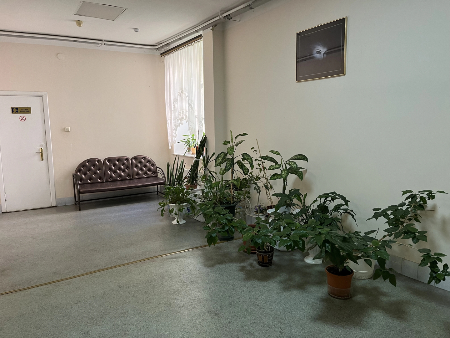 Отель Пушкин