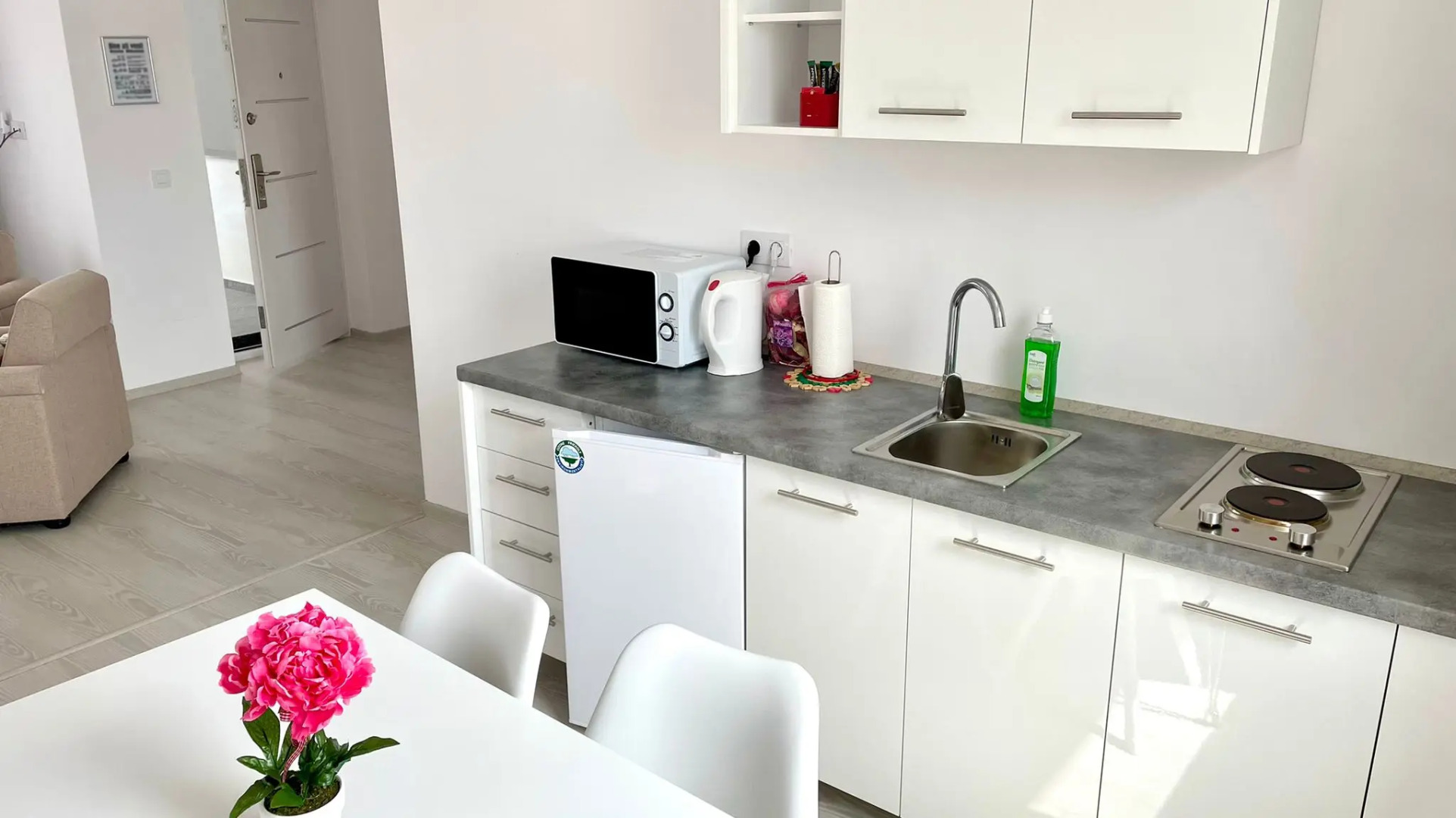 Апарт-Отель Elvetianul Tobias