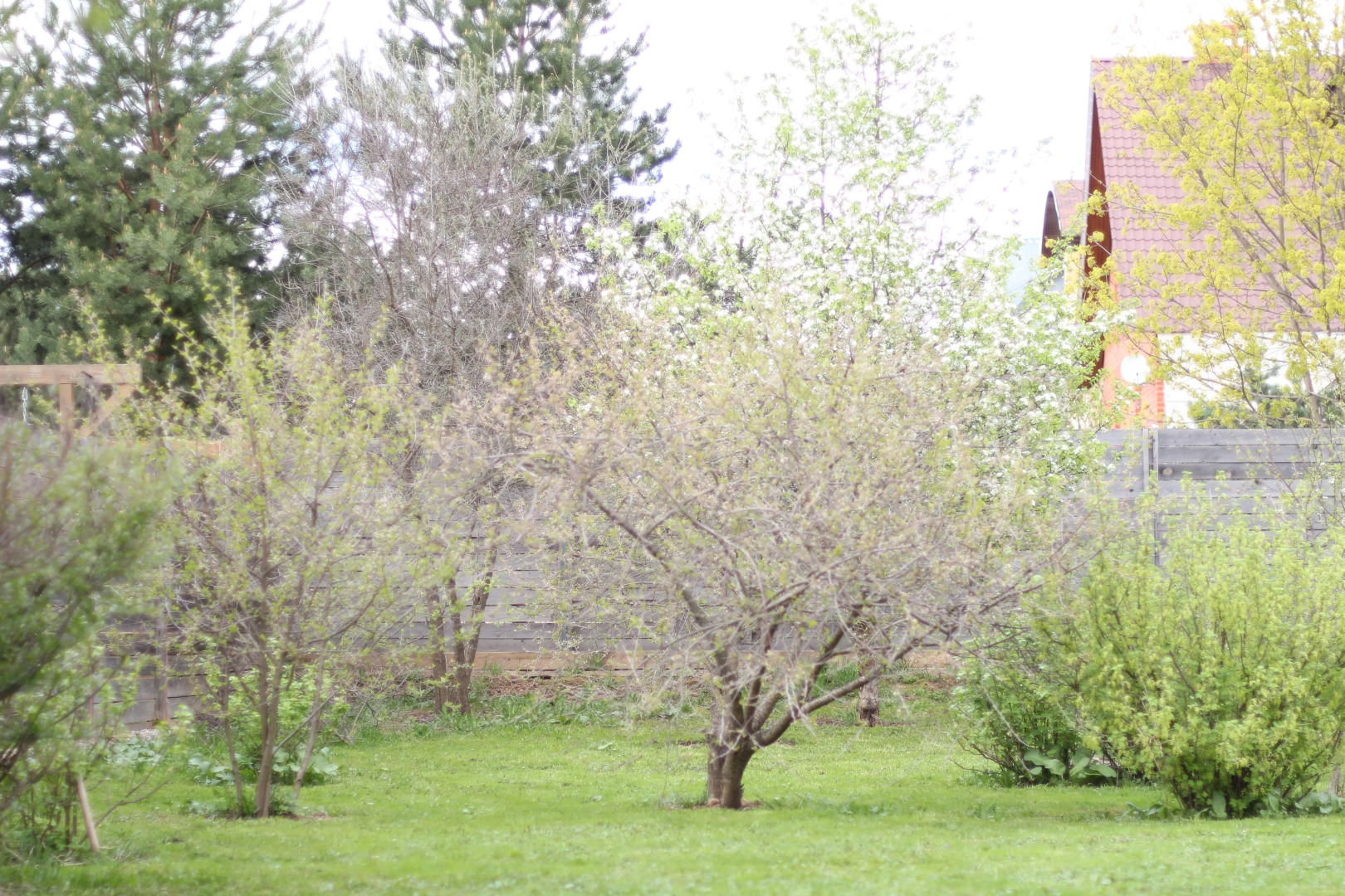 Частный дом Уютный с купелью, сауной и камином Лаундж с гамаком и лежаками