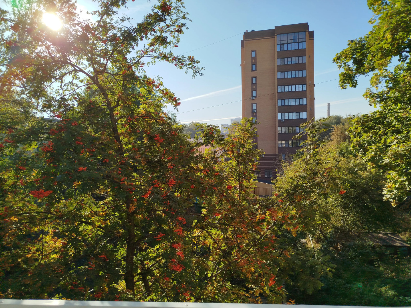 Квартира Гнездо лофт