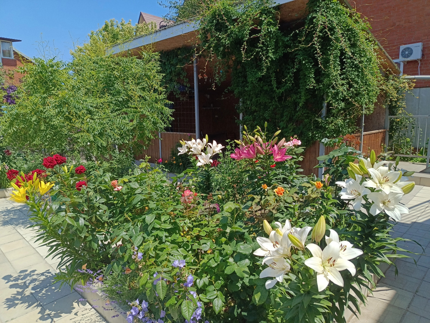 Меблированные комнаты в частном секторе