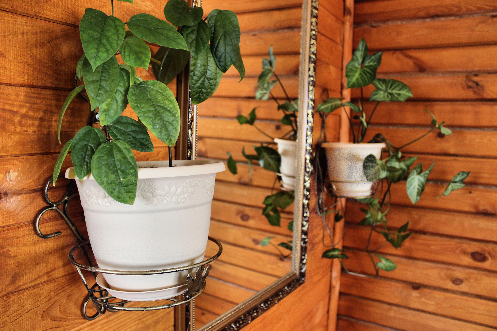 Мини-отель Пандора