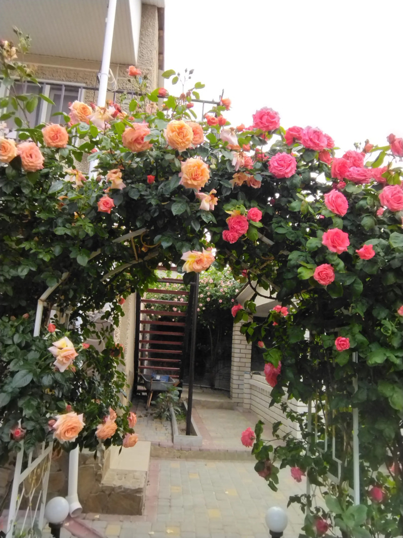 Гостевой Дом Елена