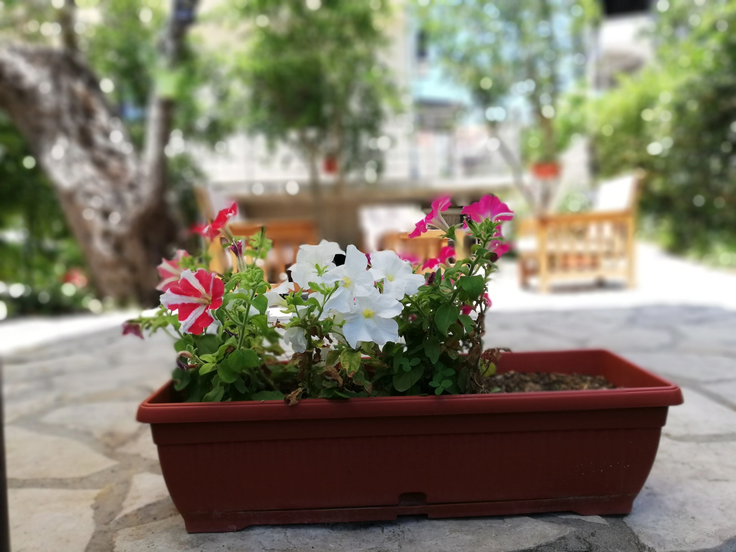 Апартаменты Tivat Luxury