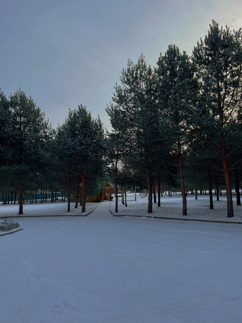 Парк-отель Чеснава