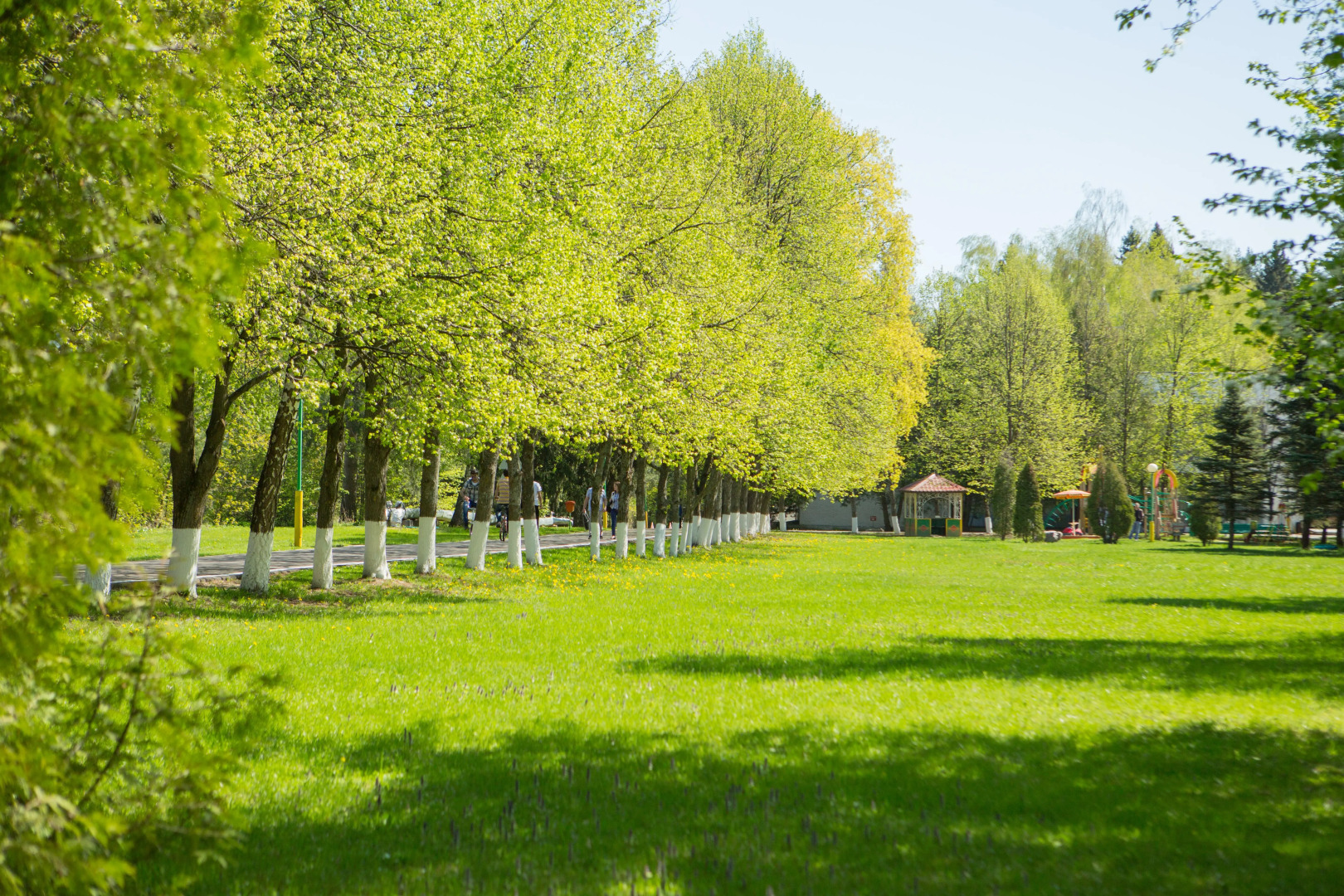 Оздоровительный комплекс Десна