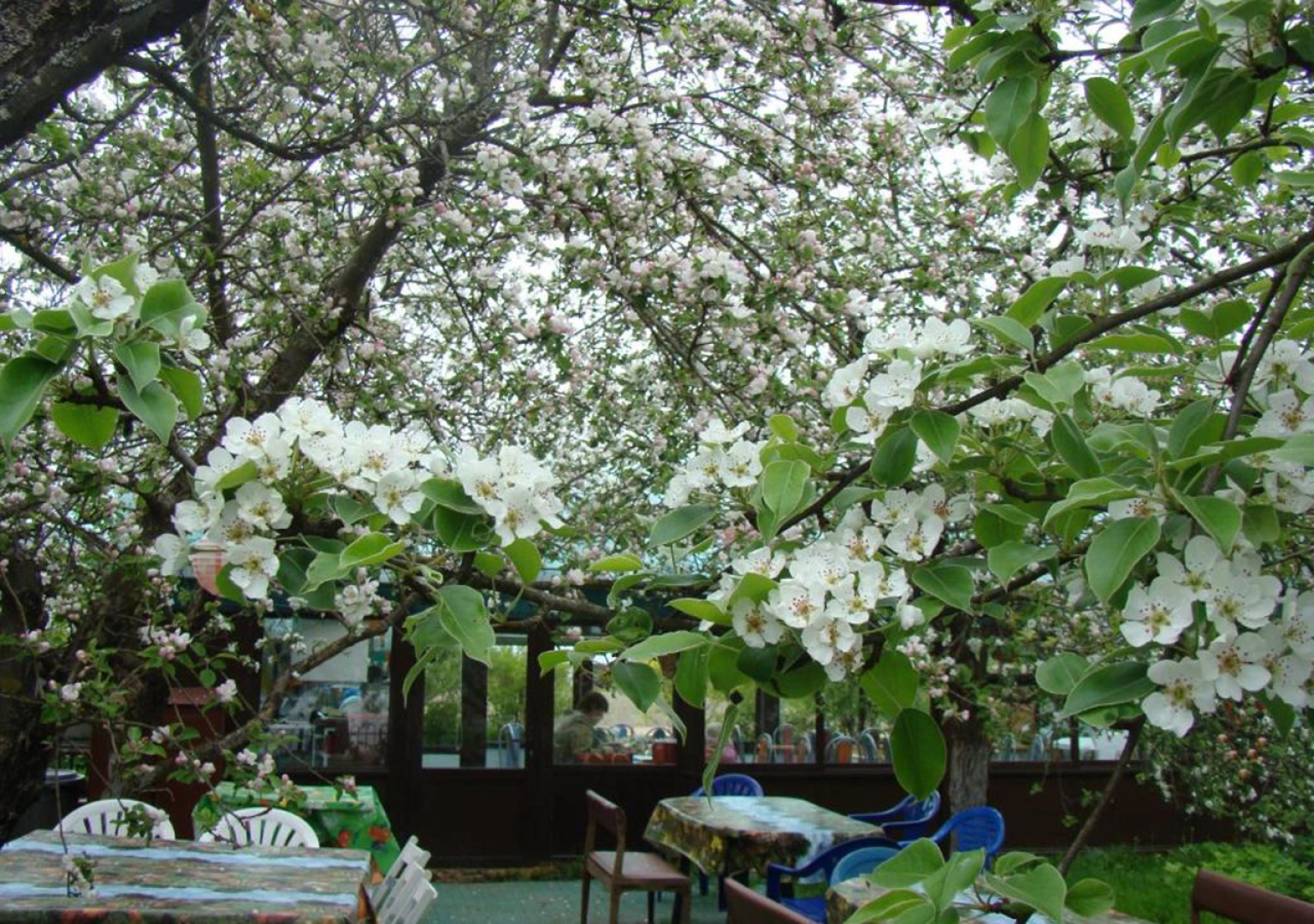 Гостевой дом КартошКино