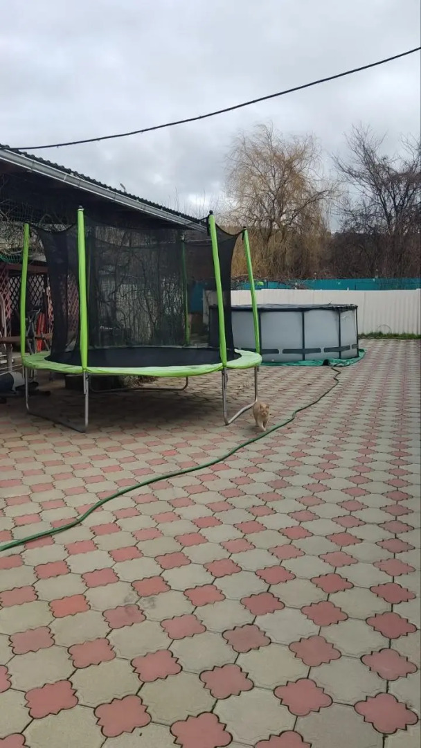 Меблированные комнаты Николь