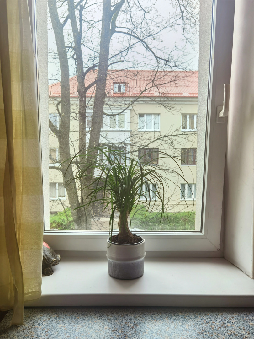 Апартаменты Дух Кёнигсберга